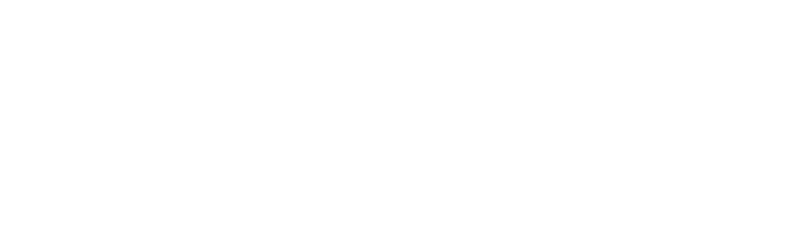 Systemic policy partnership logo